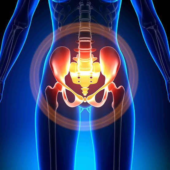 Wat is de bekkenbodem? Functies en klachten | Cura Athletica